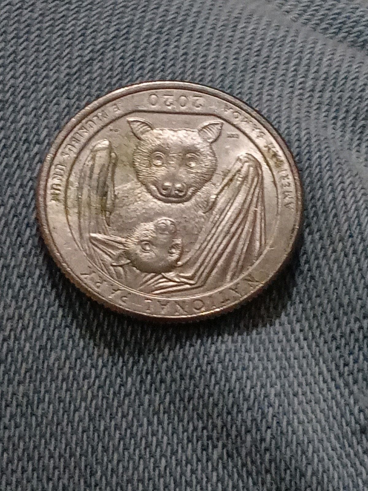 Error bat quarter