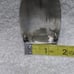 Irvine & Jachens Comstock Silver Engraved Working Cowboy Riding Horse Buckle VTG