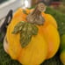 Halloween Pumpkin Heads with Glasses (set)