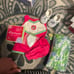 New American girl campus cheer gear, my AG