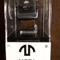Meta smart watch