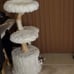 Natural Wood Modern Cat Tree with Toy, Ivory, Large