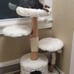 Natural Wood Modern Cat Tree with Toy, Ivory, Large