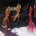 Lot of 5 Trolling Rigs (4 artificial squid 1 spoon) + Saltwtr Fishin Tackle Bag.