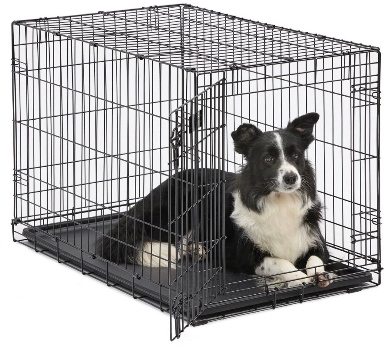 Dog cage 24 inches