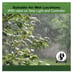 Good Earth Lighting indoor and outdoor LED RGBW strip light kit