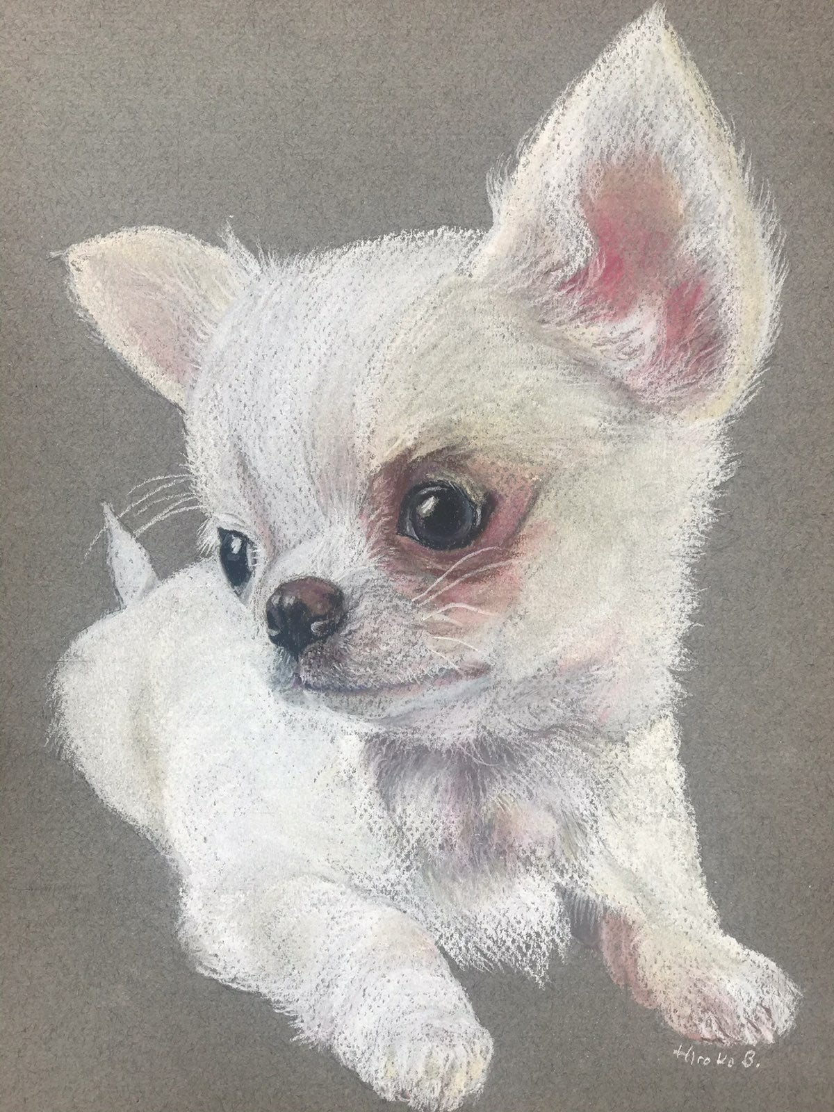 Original pastel drawing of a Chihuahua p