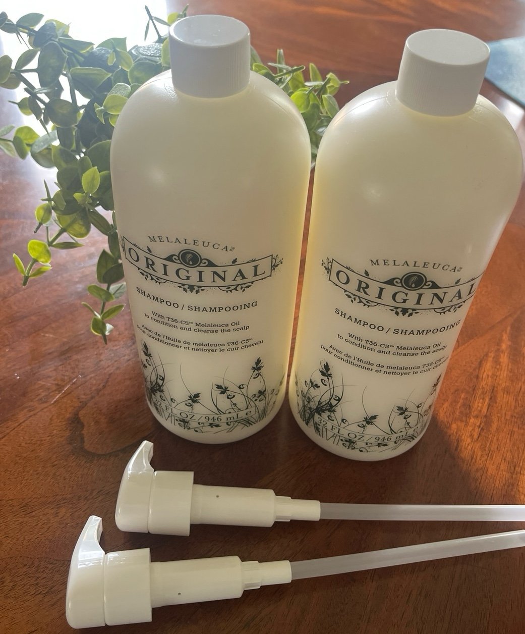 Melaleuca Shampoo
