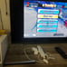 Nintendo wii