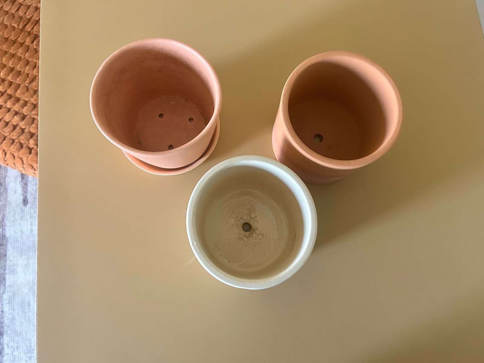 The Sill small pots set of 3