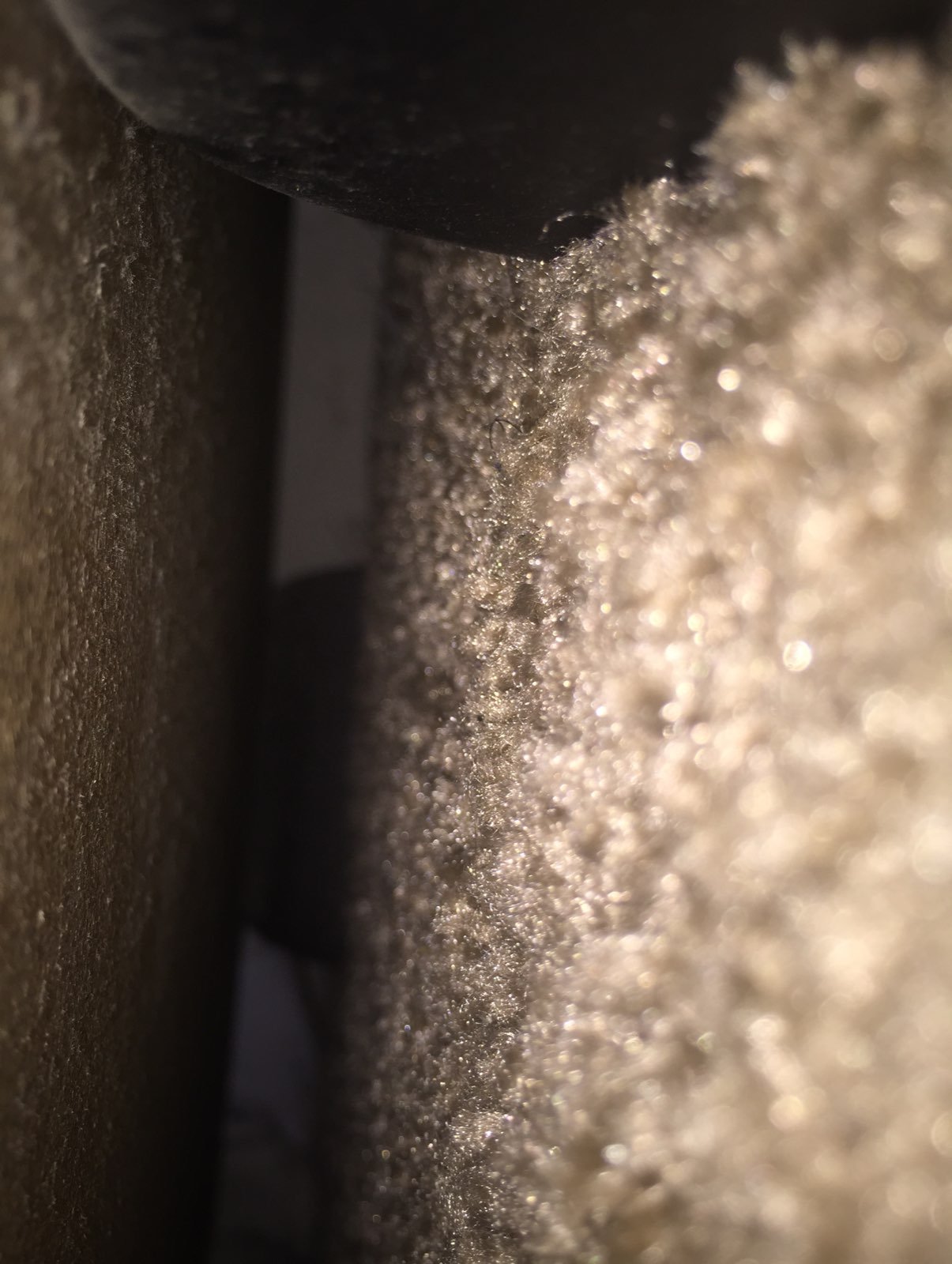 Carpet