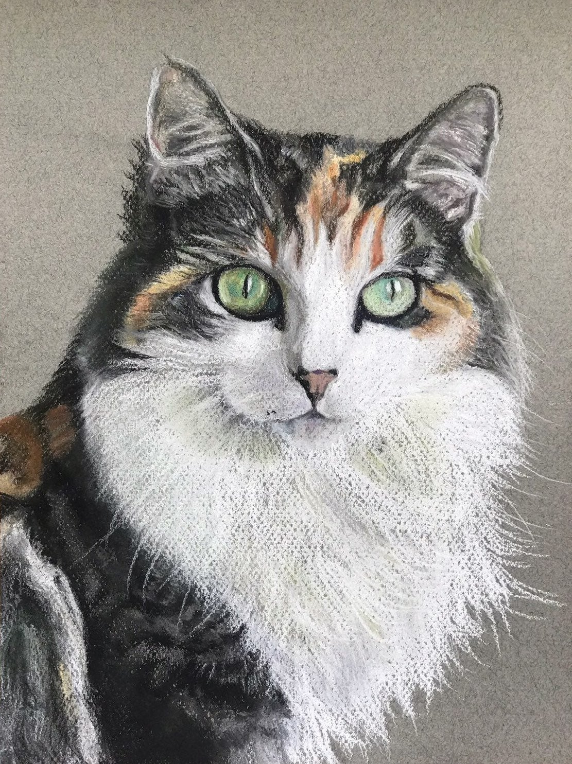 Original pastel drawing of cat
