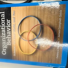 Organizational Behavior - Nelson and Quick