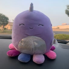 Mystery Scented octopus Squishmallow