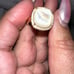 Jupiter Women's Natural Gemstone Mother of Pearl Ring