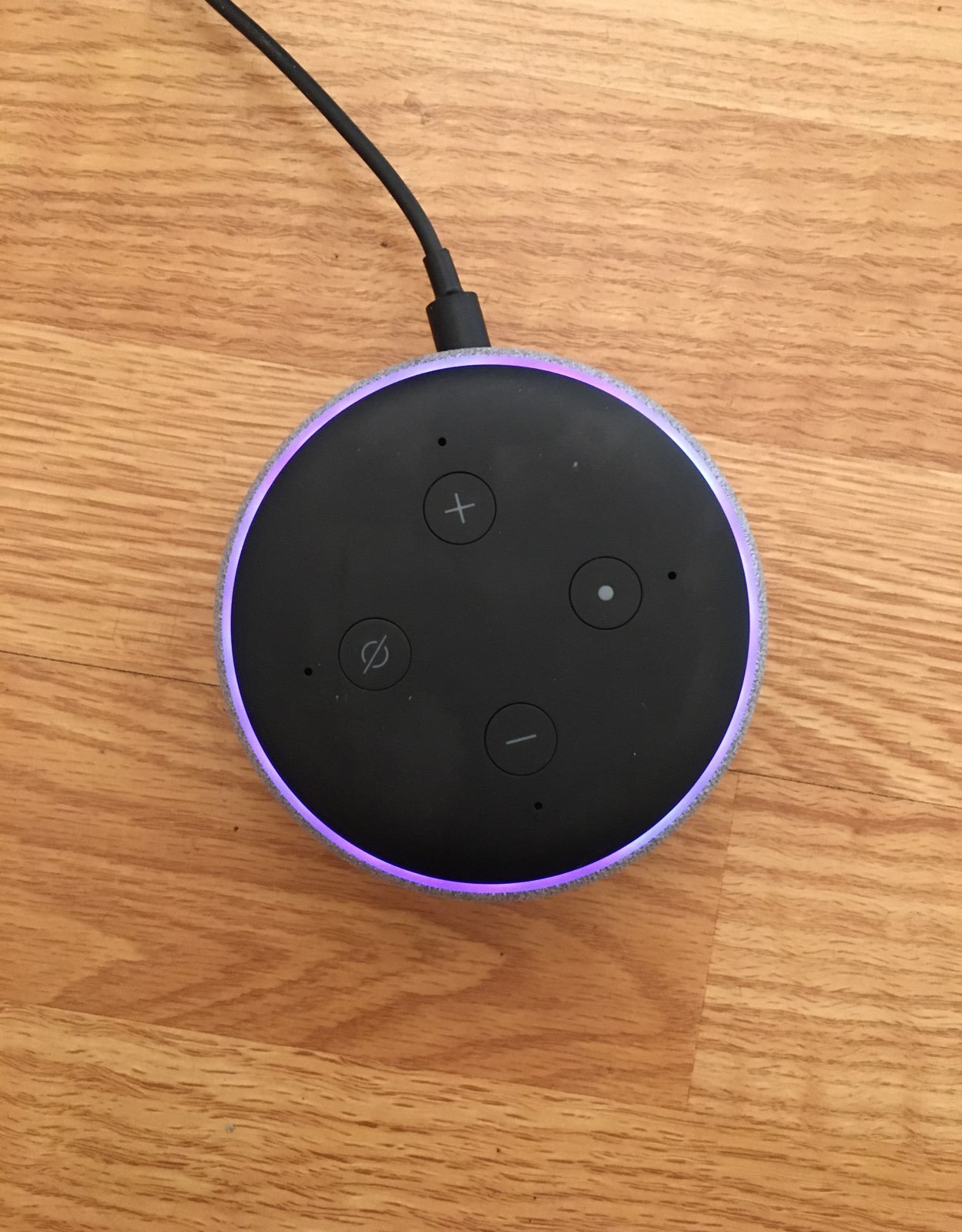 alexa Amazon echo