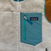 Patagonia vest