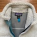 Patagonia vest