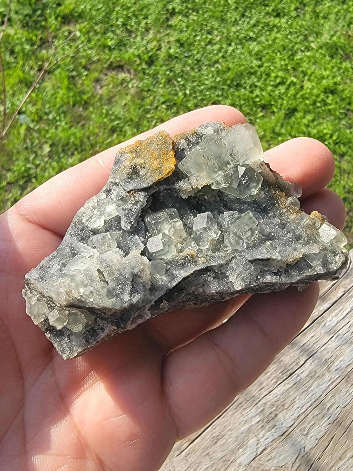 XHL Fluorite