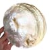 2 Vtg Genuine MOP Mother Of Pearl Sea Shell Caviar Appetizer Plate Dish Large 8