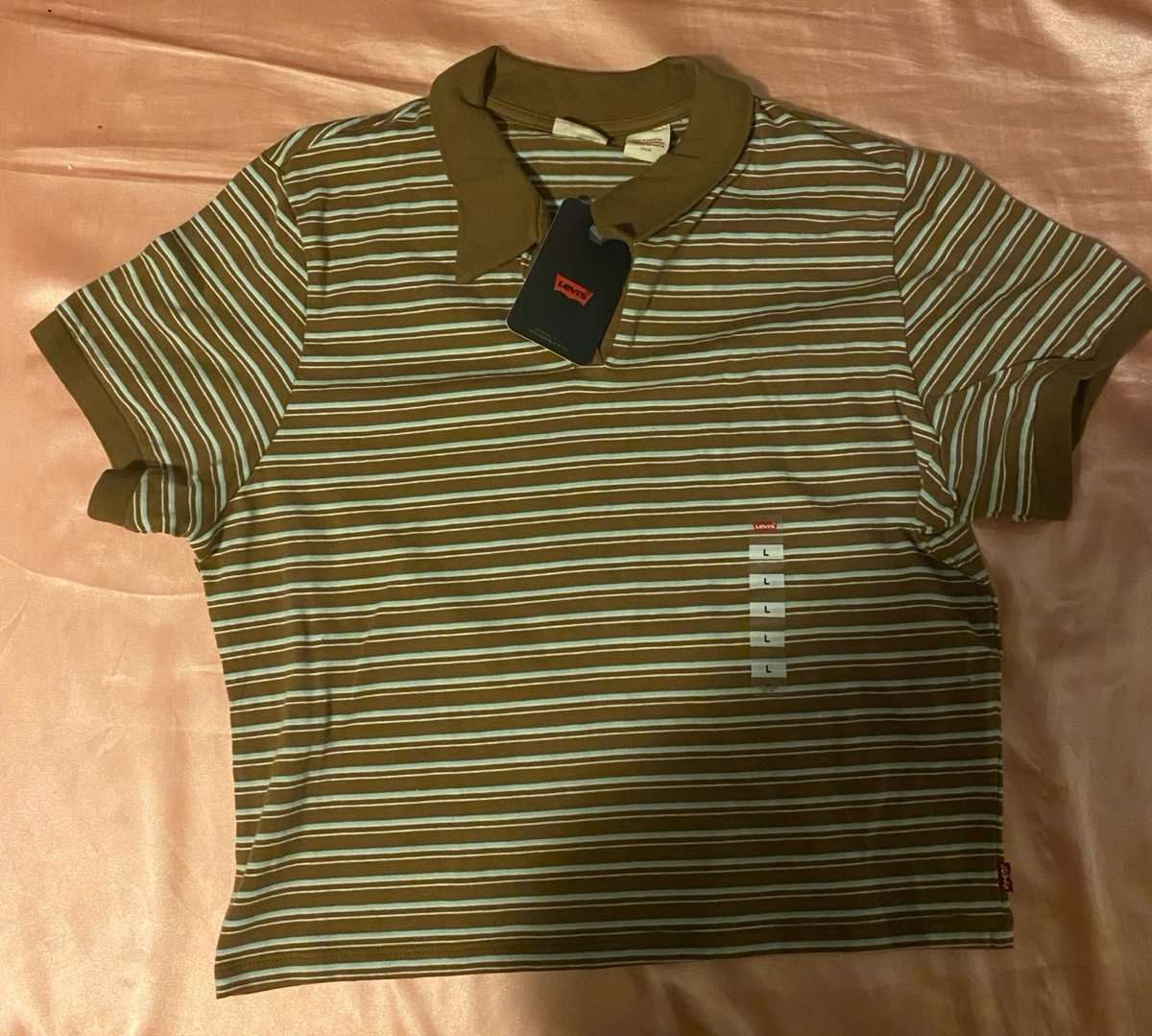 Blue and brown stripped Levi's top (women's)