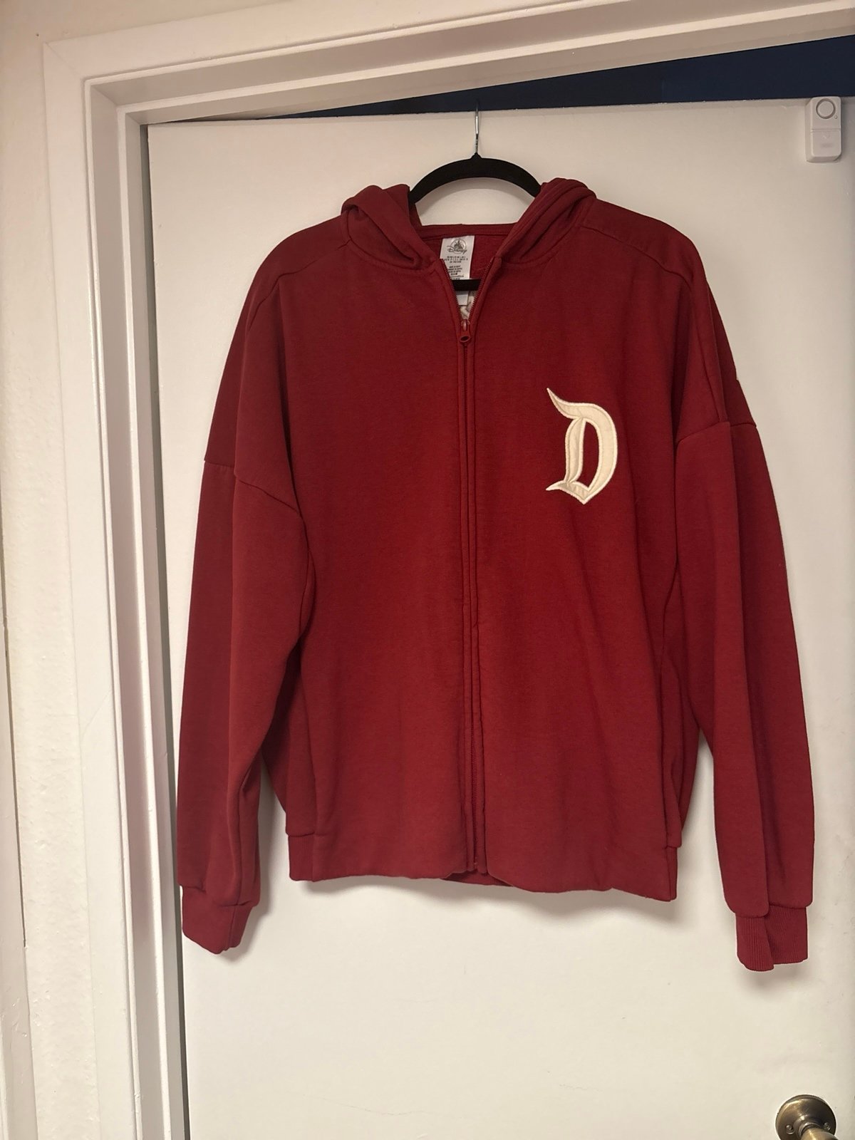 Disneyland zip up hoodie
