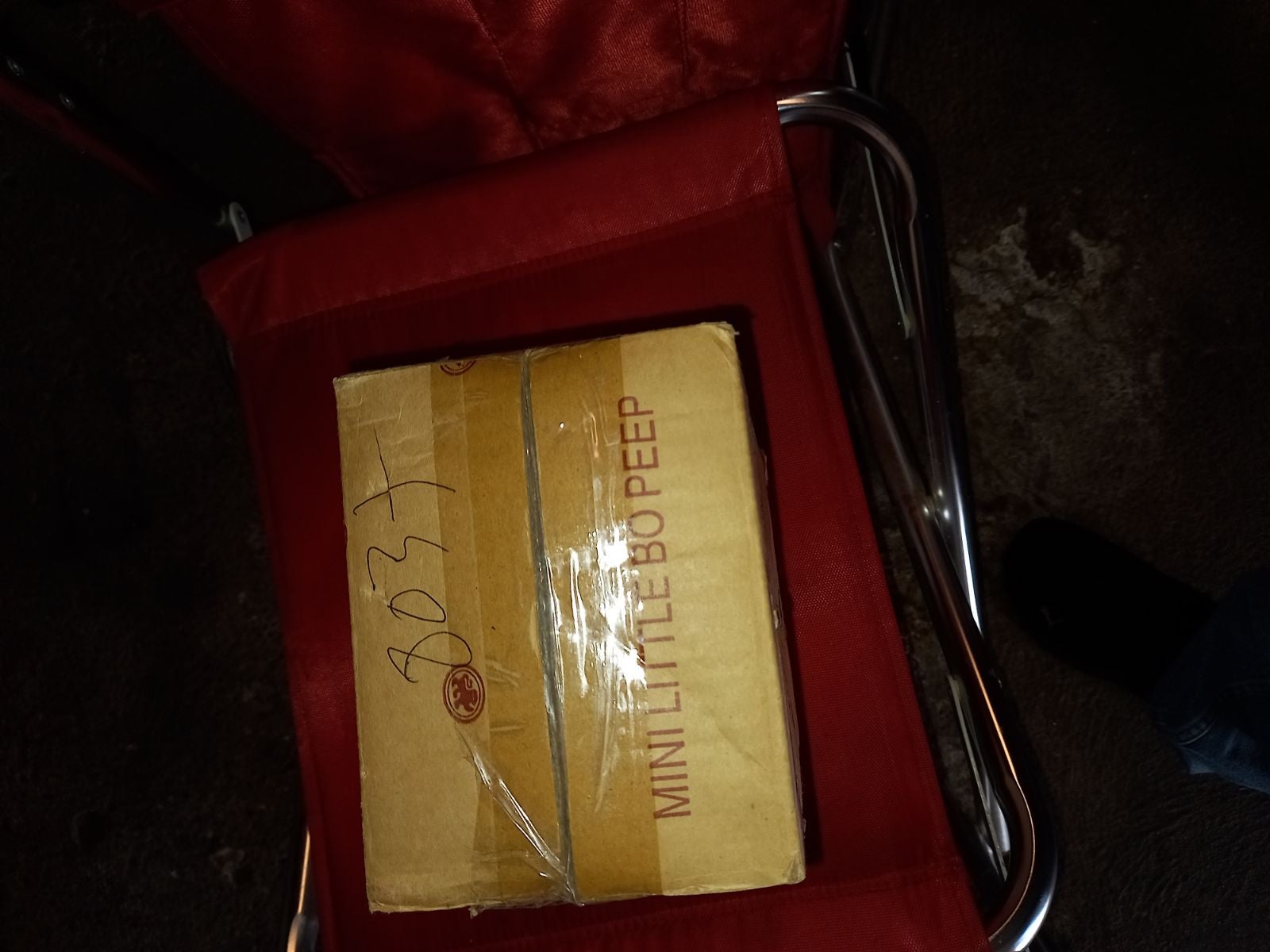 A Certificate Of Authenticity Doll