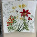 Pottery Barn White Botanical Floral Red Lily Butterfly Euro Pillow Shams Spring