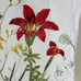 Pottery Barn White Botanical Floral Red Lily Butterfly Euro Pillow Shams Spring