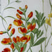 Pottery Barn White Botanical Floral Red Lily Butterfly Euro Pillow Shams Spring