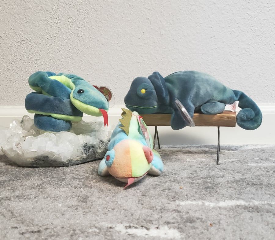 TY Beanie Babies: Hissy, Iggy and Rainbow Bundle - Unique & Rare Beanie Baby