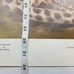 Betty Allison: The Cheetah. Framed print 1978 San Antonio Texas, USA.