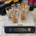 San Diego zoo heavy bottom shot glasses