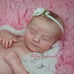 Reborn June Asleep