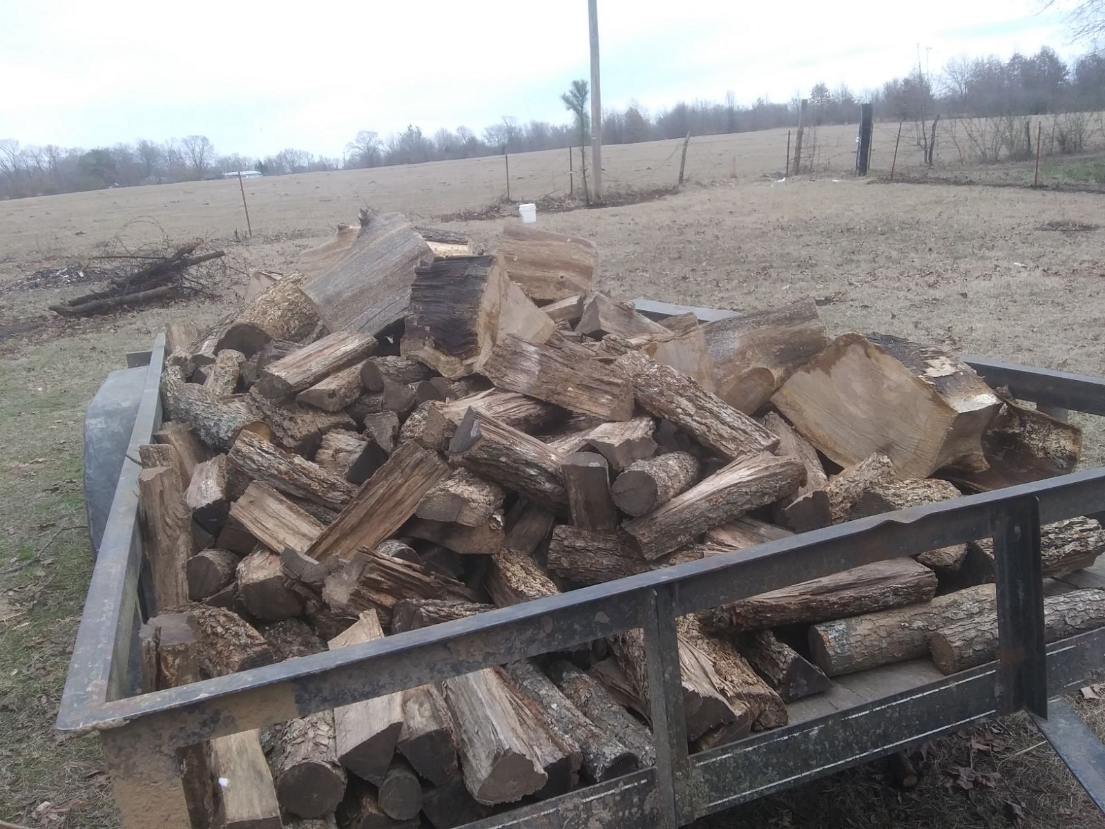 Red and white oak Fire wood