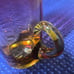 MT. WASHINGTON AMBERINA GLASS MUG 4 7/8” tall