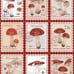 Nightwhisper Lolita Mushroom Stamp Red Skirt with Bow Headband