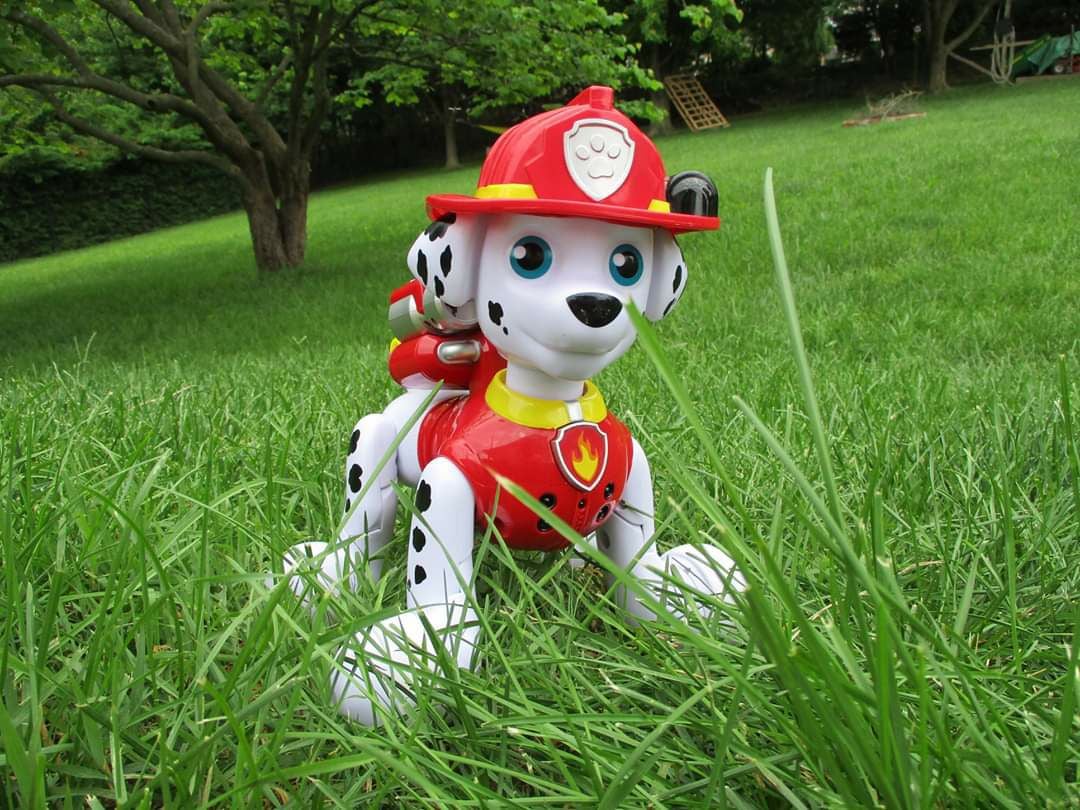 Zoomer paw patrol robot toy