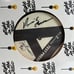 Donnie & Joe Emerson Dreamin' Wild Autographed Test Pressing Light In The Attic