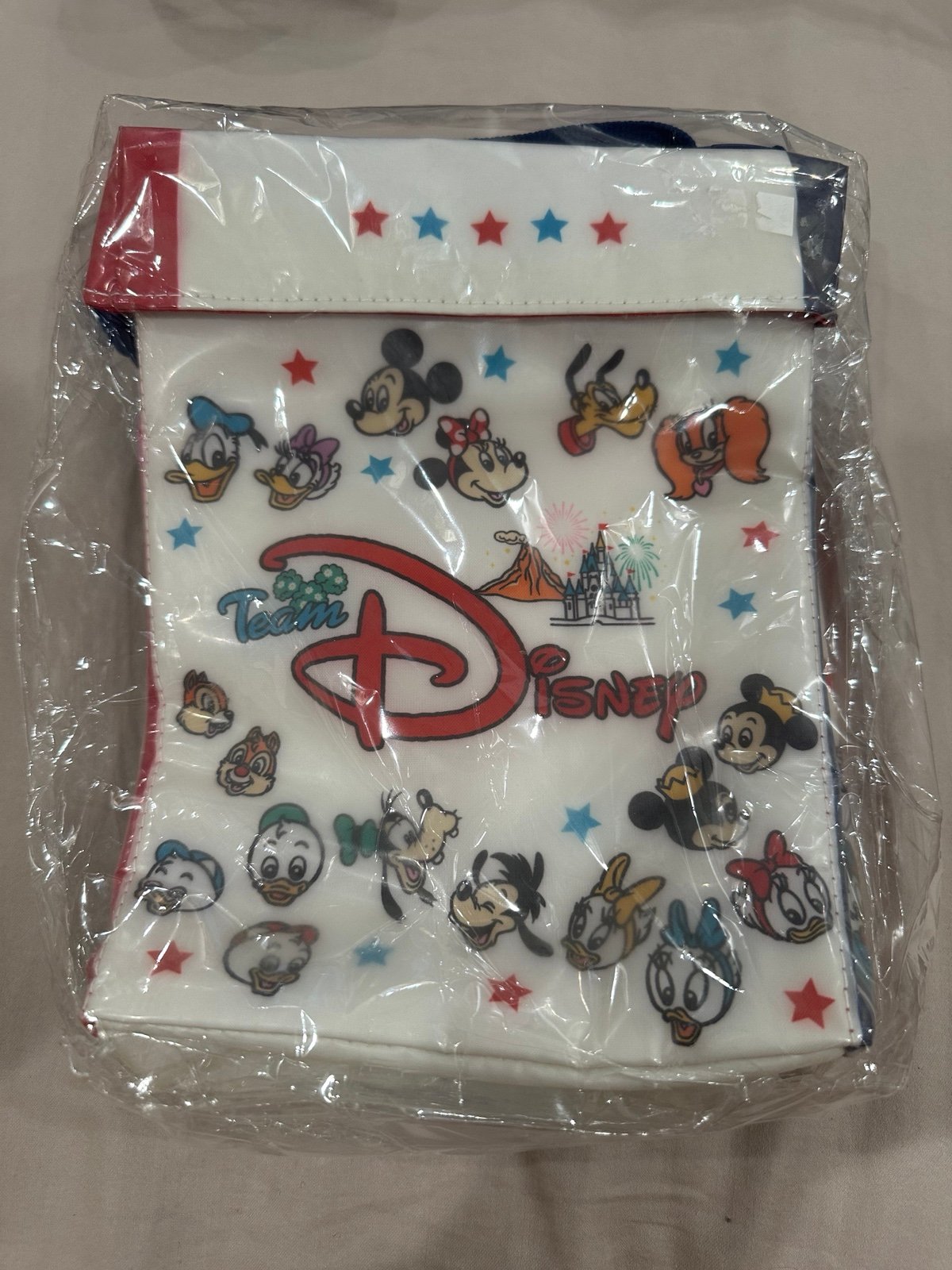Tokyo Disney Exclusive Team Disney Popcorn Bucket