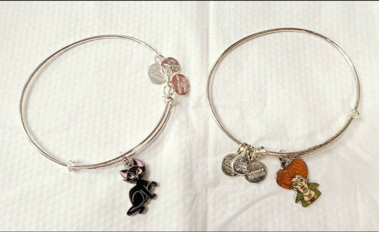 Alex And Ani Disney Hocus Pocus Winifred & Black Cat Silver Bracelet 2019 RARE