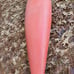 Kayak - Perception Proline Pirouette