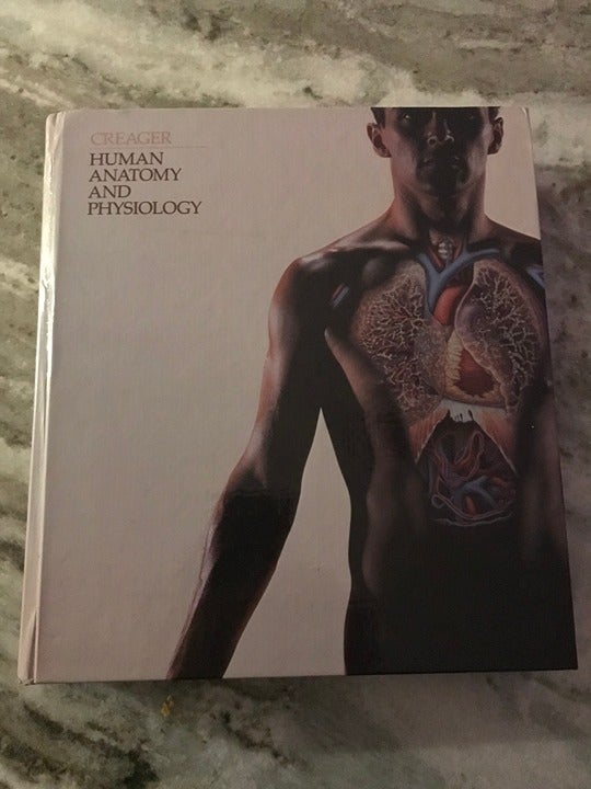 1983 HUMAN ANATOMY AND PHYSIOLOGY JOAN G. CREAGER Wadsworth college textbook