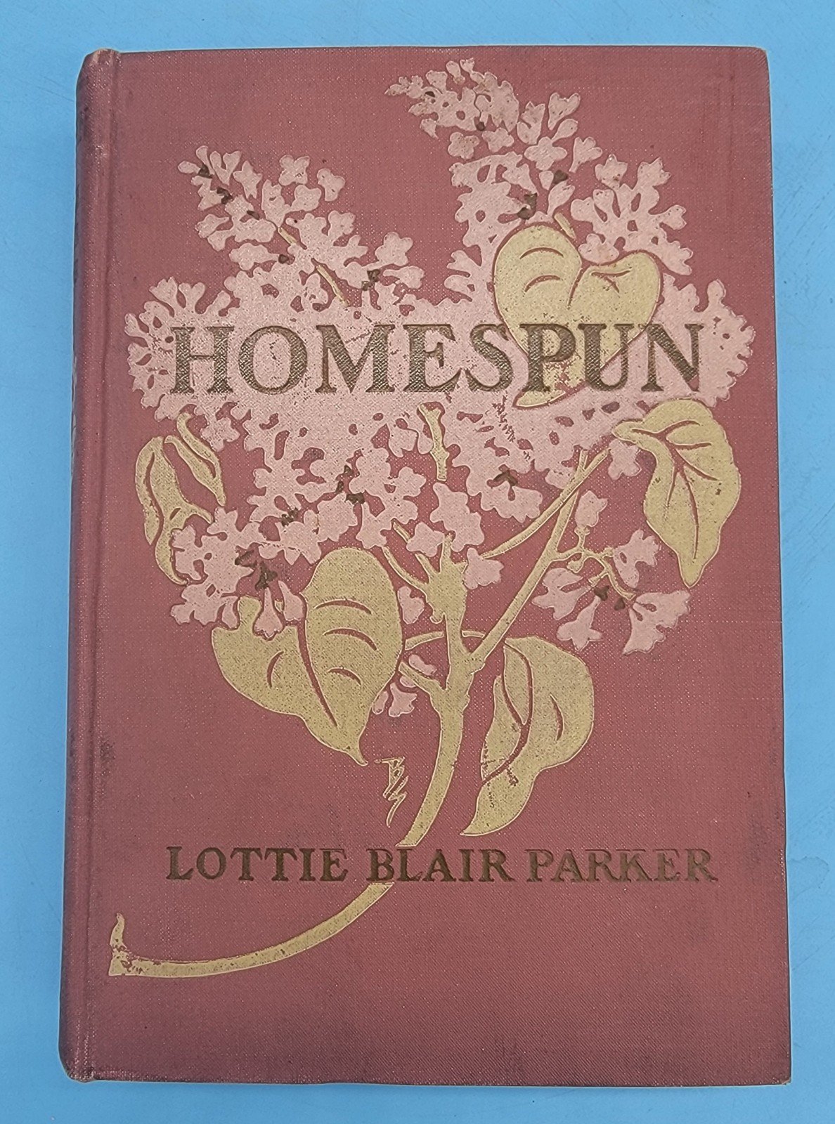 HOMESPUN A Story of Some New England Folk 1909 First Edition Parker