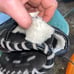 Academa Pro Catchers Mitt