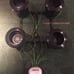 4-Plant RDWC Hydroponic System W Main Reservior, 600gph Airpump (25-Gallons)