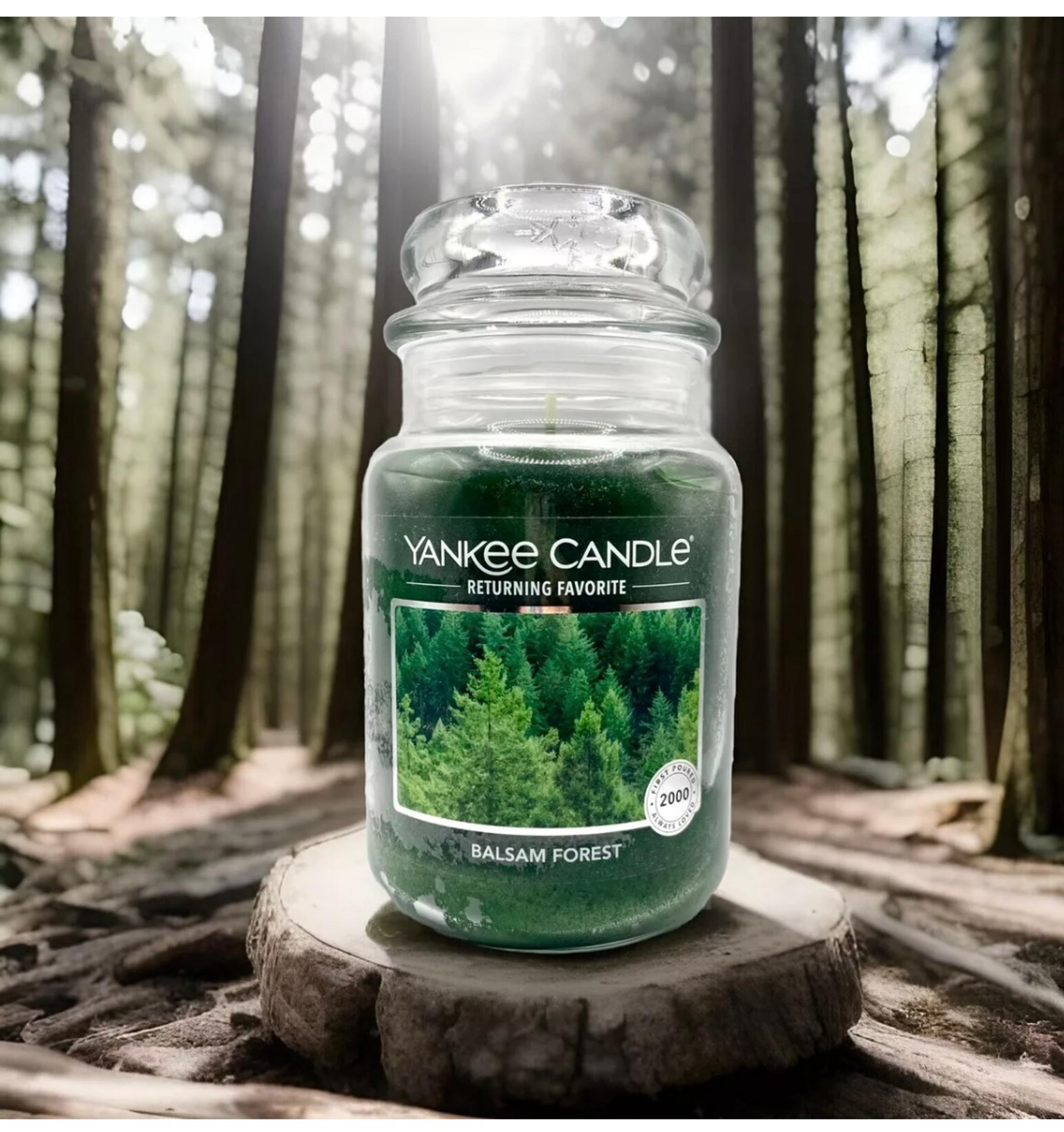 Yankee Candle Large Jar Candle-Balsam Forest (22 oz)