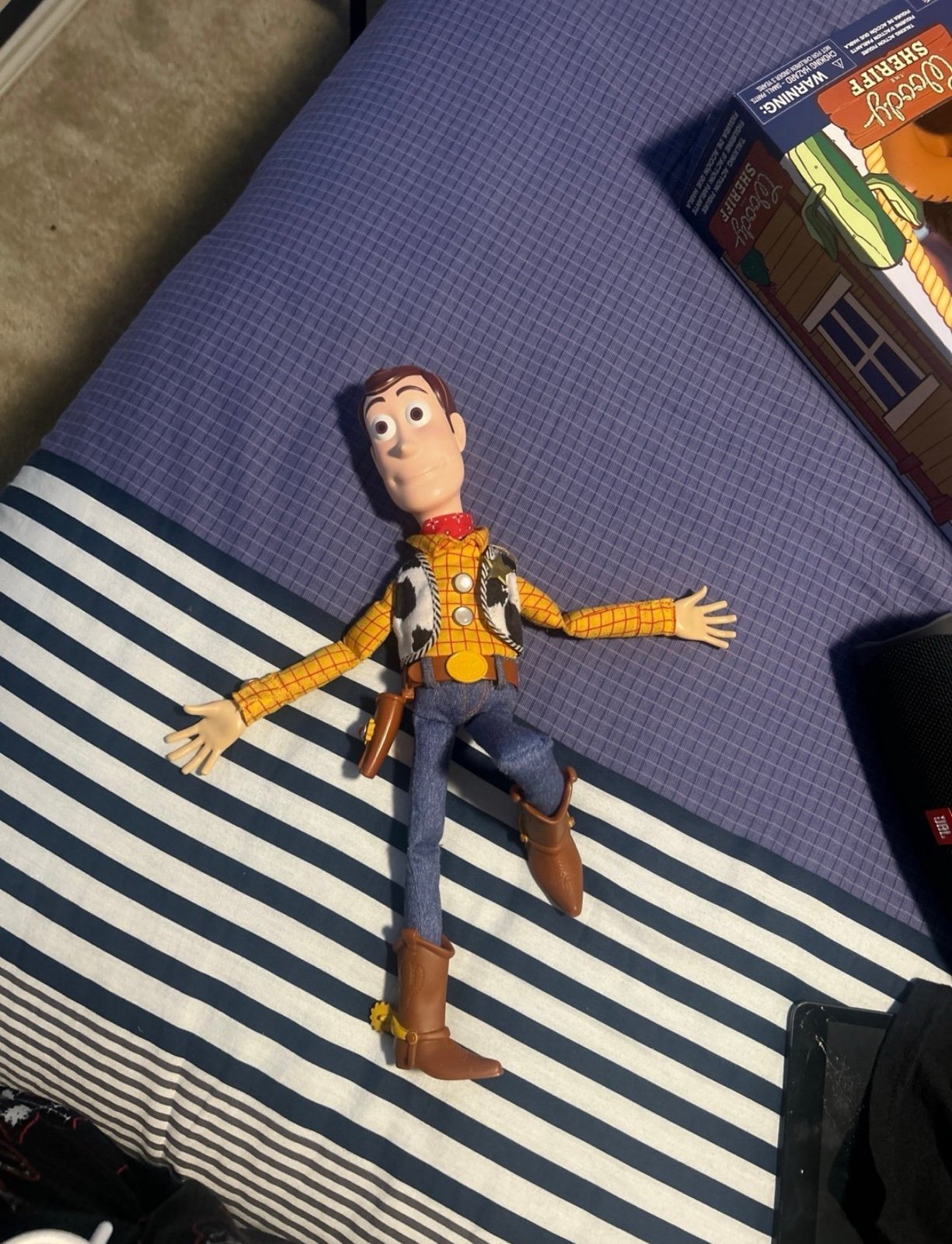 movie accurate woody