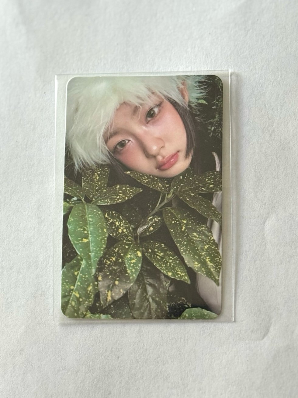 [Kiikii Kya] BTG BROADCAST PHOTOCARD