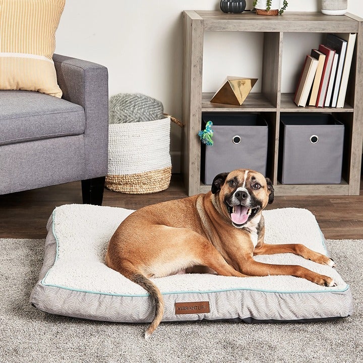 Large Therapeutic Dog Bed, Gray---new
